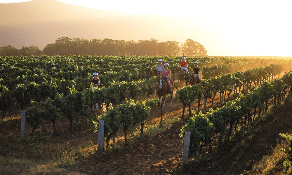 Horse riding - Hunter Valley Resort